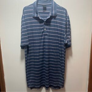 Dunning Golf Polo‎ Shirt Mens Size Large Short Sleeve Blue Pink Striped